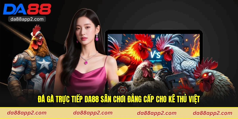 Đá Gà Trực Tiếp Da88 Sân Chơi Đẳng Cấp Cho Kê Thủ Việt