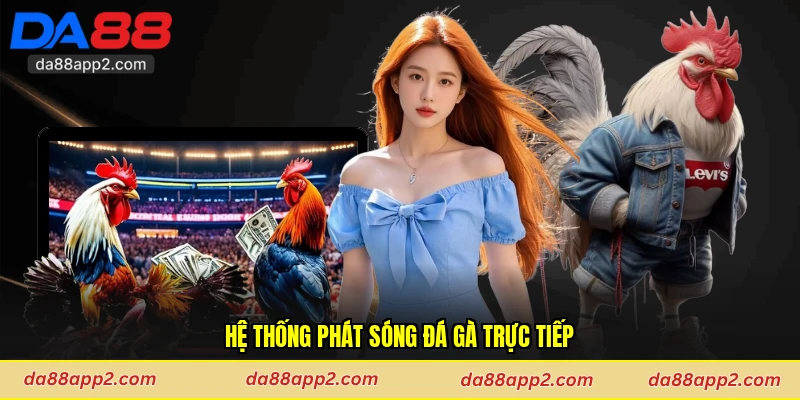 Hệ thống phát sóng đá gà trực tiếp